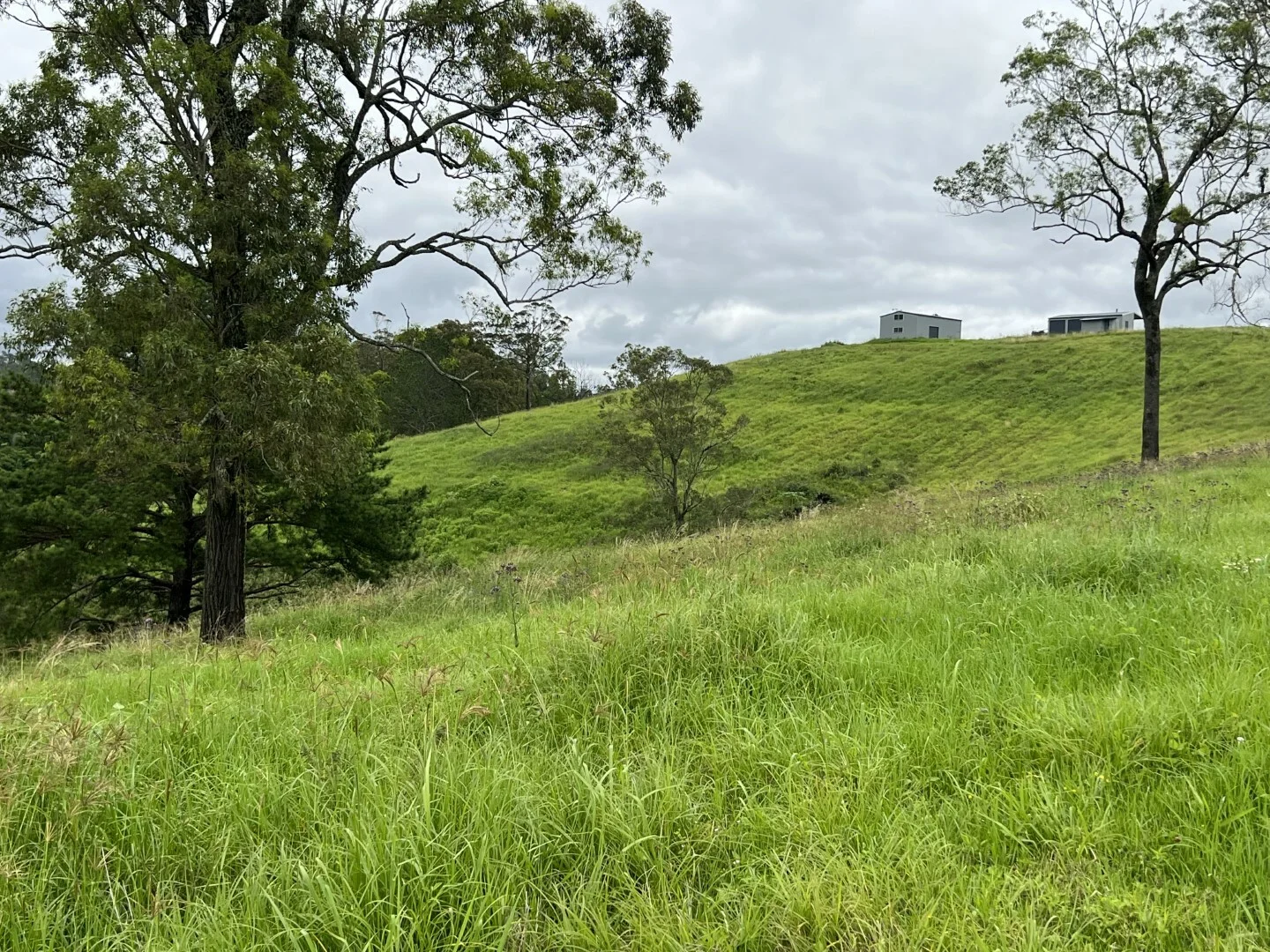 Additional image 14 of 59 Wyndham Road, Wyneden NSW 2474