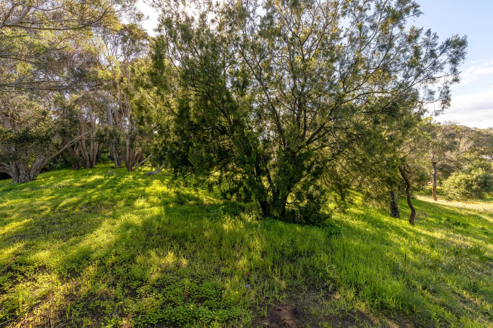 Additional image 8 of 12 Tuerong Street, Rye VIC 3941