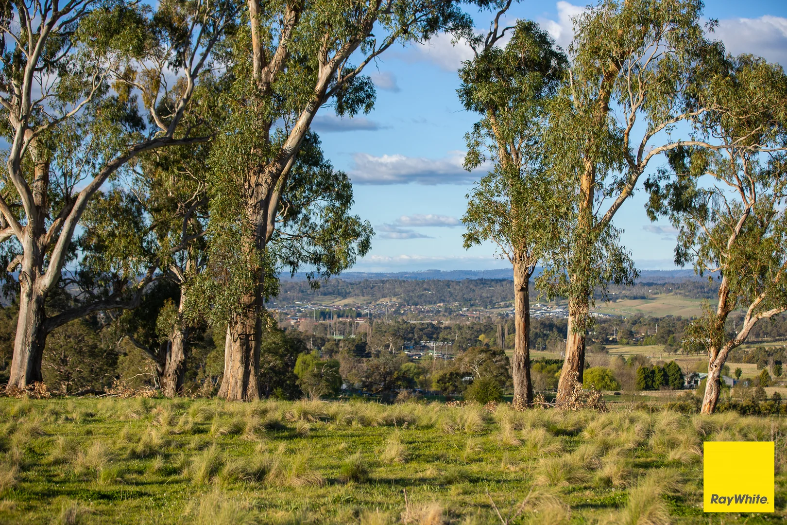 Additional image 4 of 15 Karina Close, Armidale NSW 2350