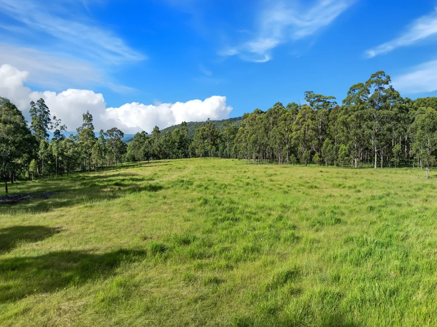 Additional image 3 of 62-69 Duck Creek Road, Bonalbo NSW 2469