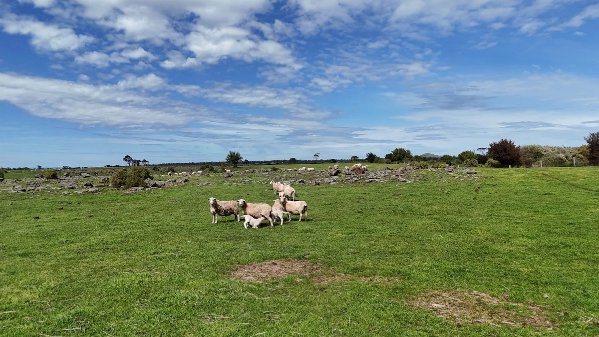 Additional image 6 of 220 Harlocks Road, Pomborneit North VIC 3260