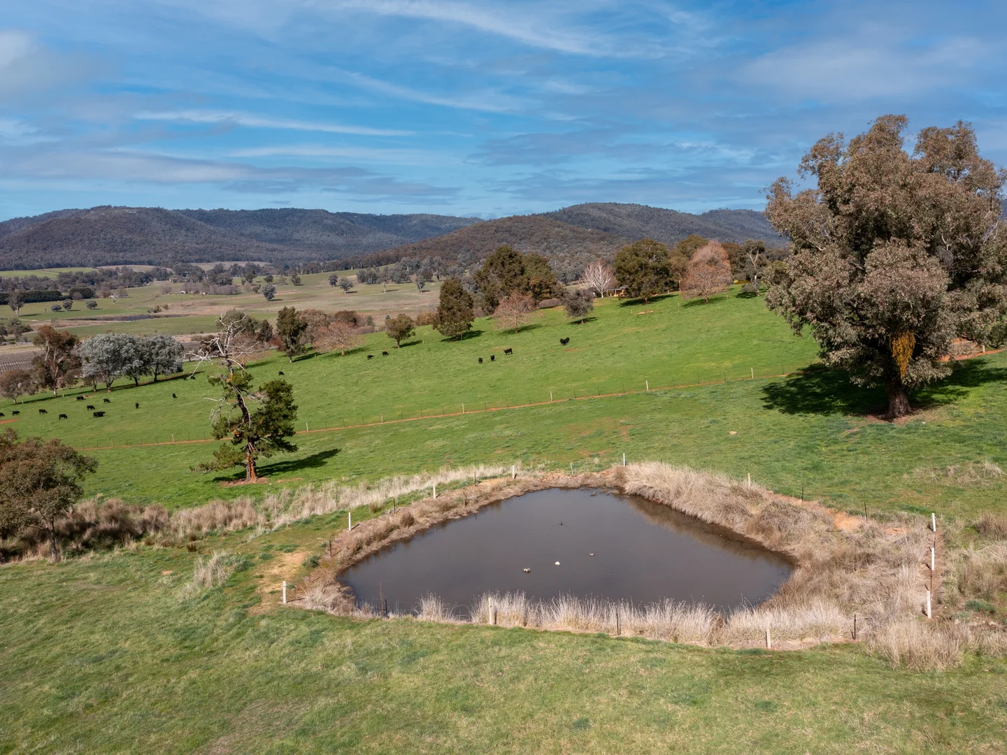 Additional image 35 of 1694 Boggy Creek Road, Myrrhee VIC 3732