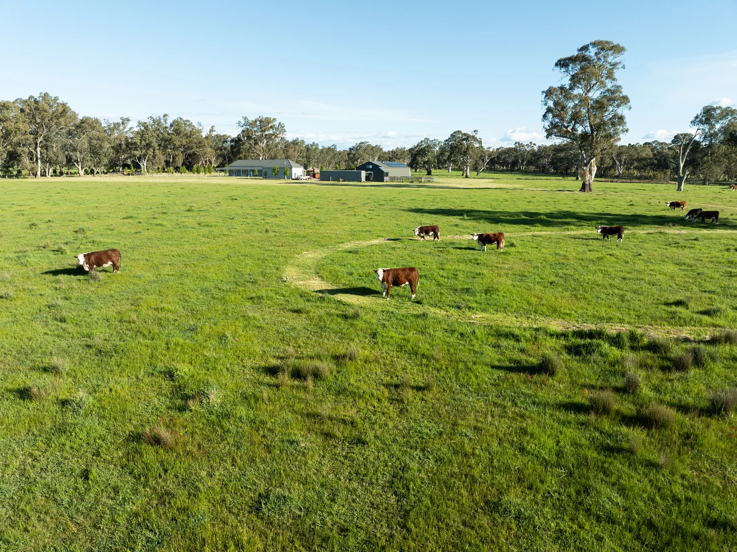 Additional image 2 of 43 Dueran Lane, Mansfield VIC 3722