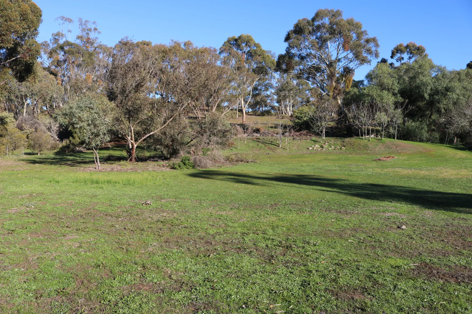 Additional image 2 of 6/8 Ridge Street, Wedderburn VIC 3518