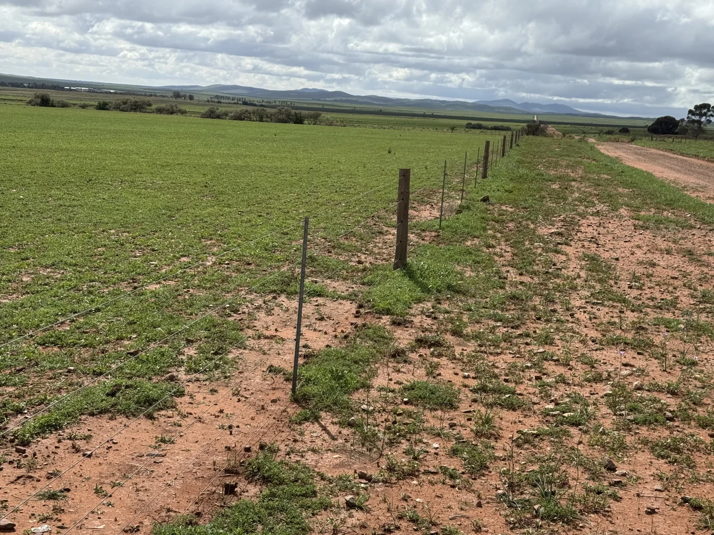 Additional image 8 of Redgum Road, Willowie SA 5431