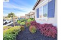 5350 Sotto Way, Antioch, CA, 94531 photo 5