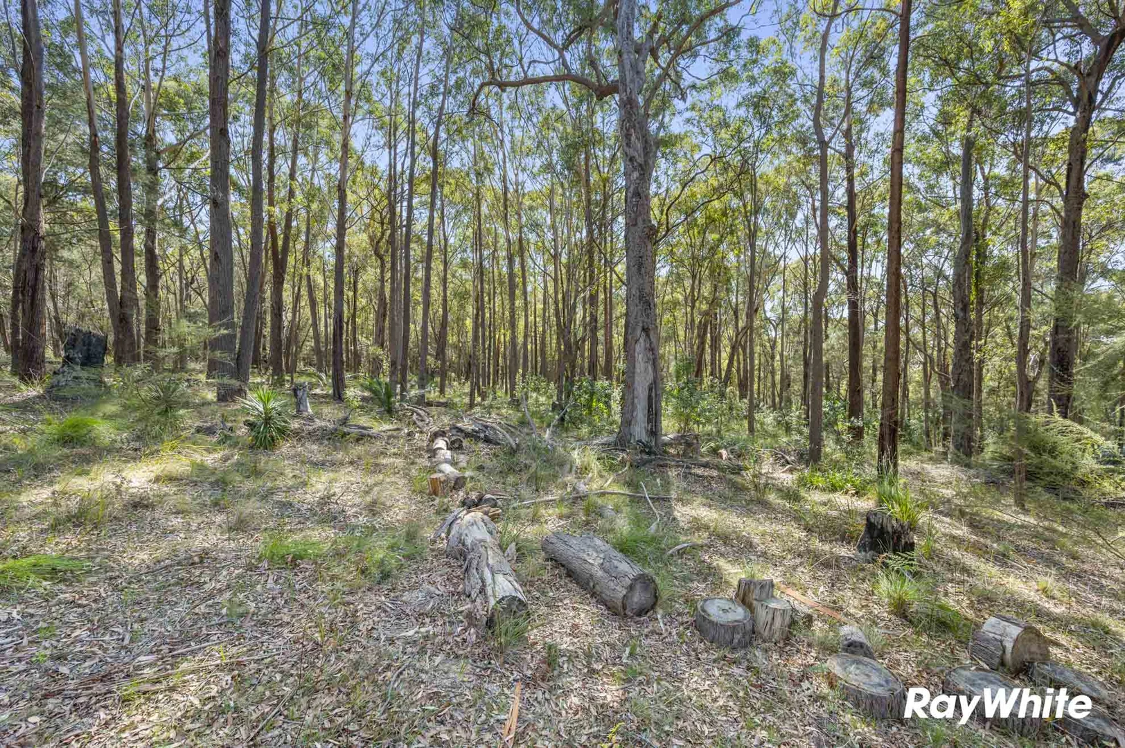 Additional image 17 of 49 Spring Place, Bingie NSW 2537