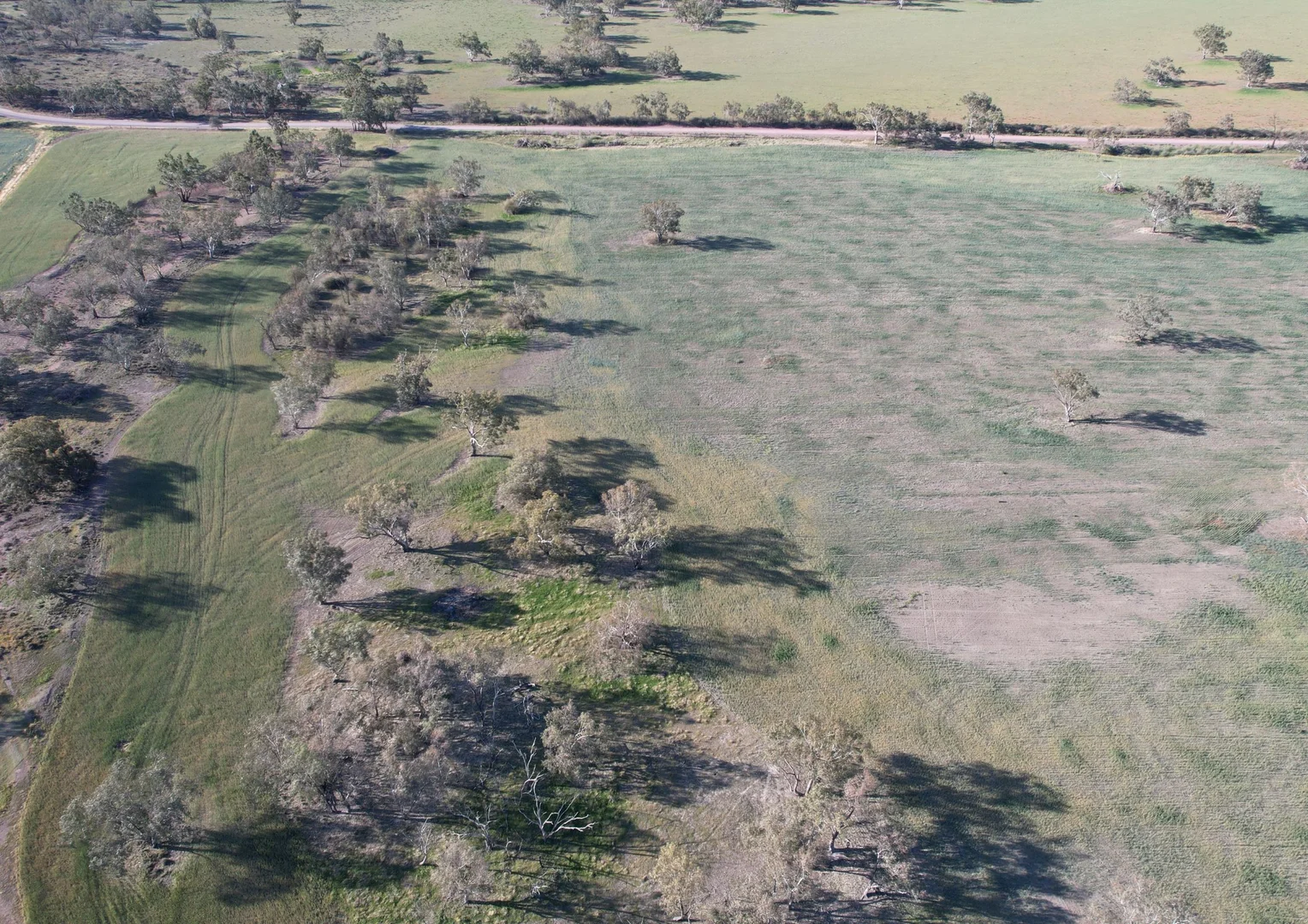 Additional image 17 of 1404 Lake Cowal, Forbes NSW 2871