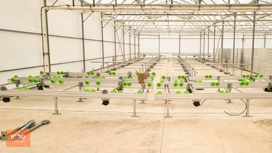 Additional image 7 of Peats Ridge NSW 2250