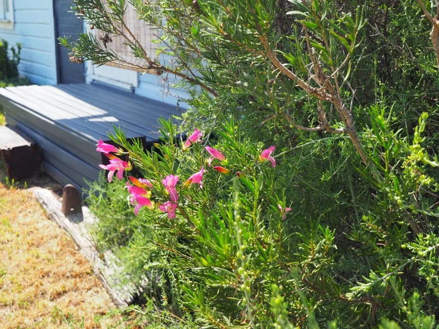 Additional image 25 of 2 Railway Parade, Warialda Rail NSW 2402