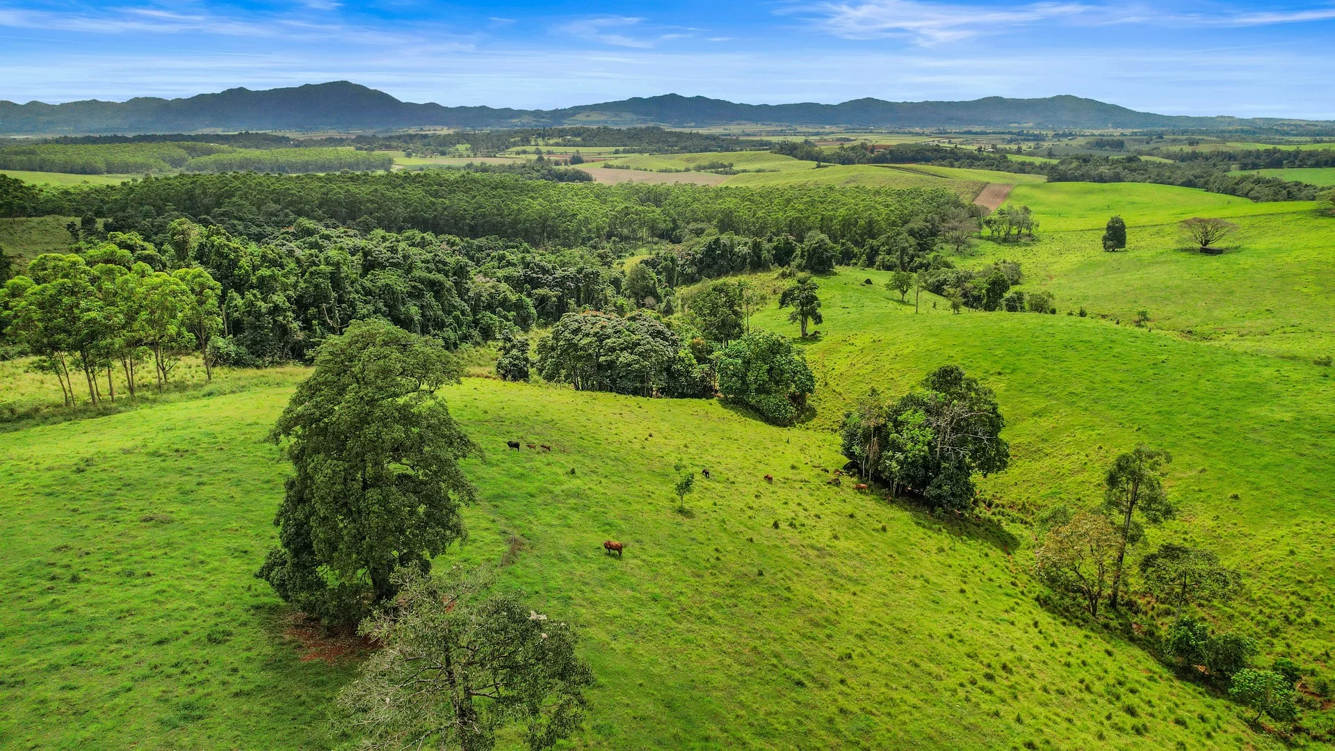 Additional image 37 of Lot 2/370 Hernon Road, Fitzgerald Creek QLD 4860