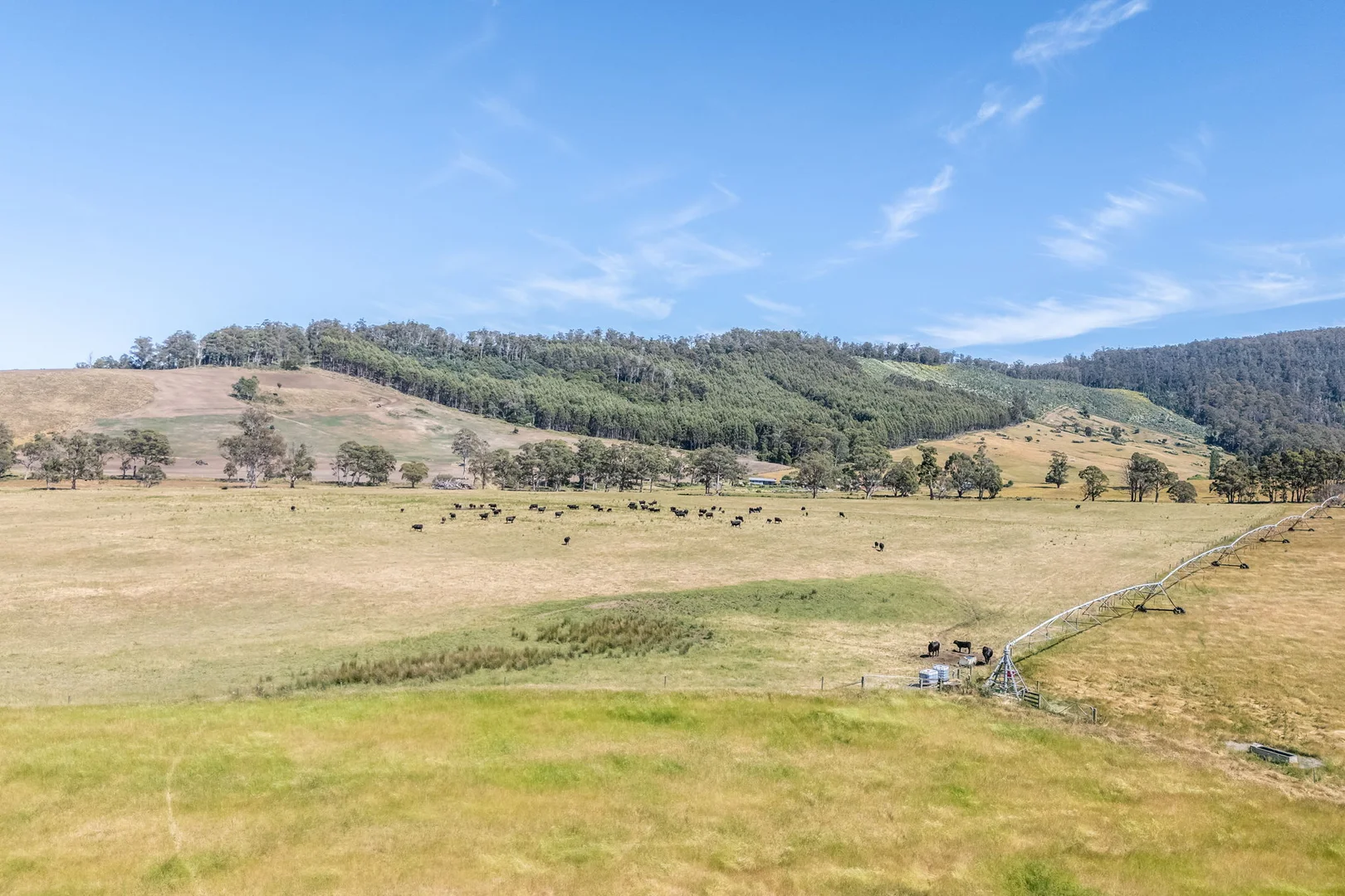 Additional image 7 of 3600 Blessington Road, Upper Blessington TAS 7212