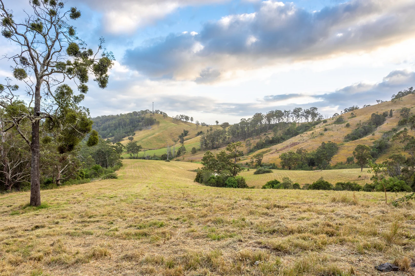 Additional image 19 of 152 Red Gully Road, Burrell Creek NSW 2429