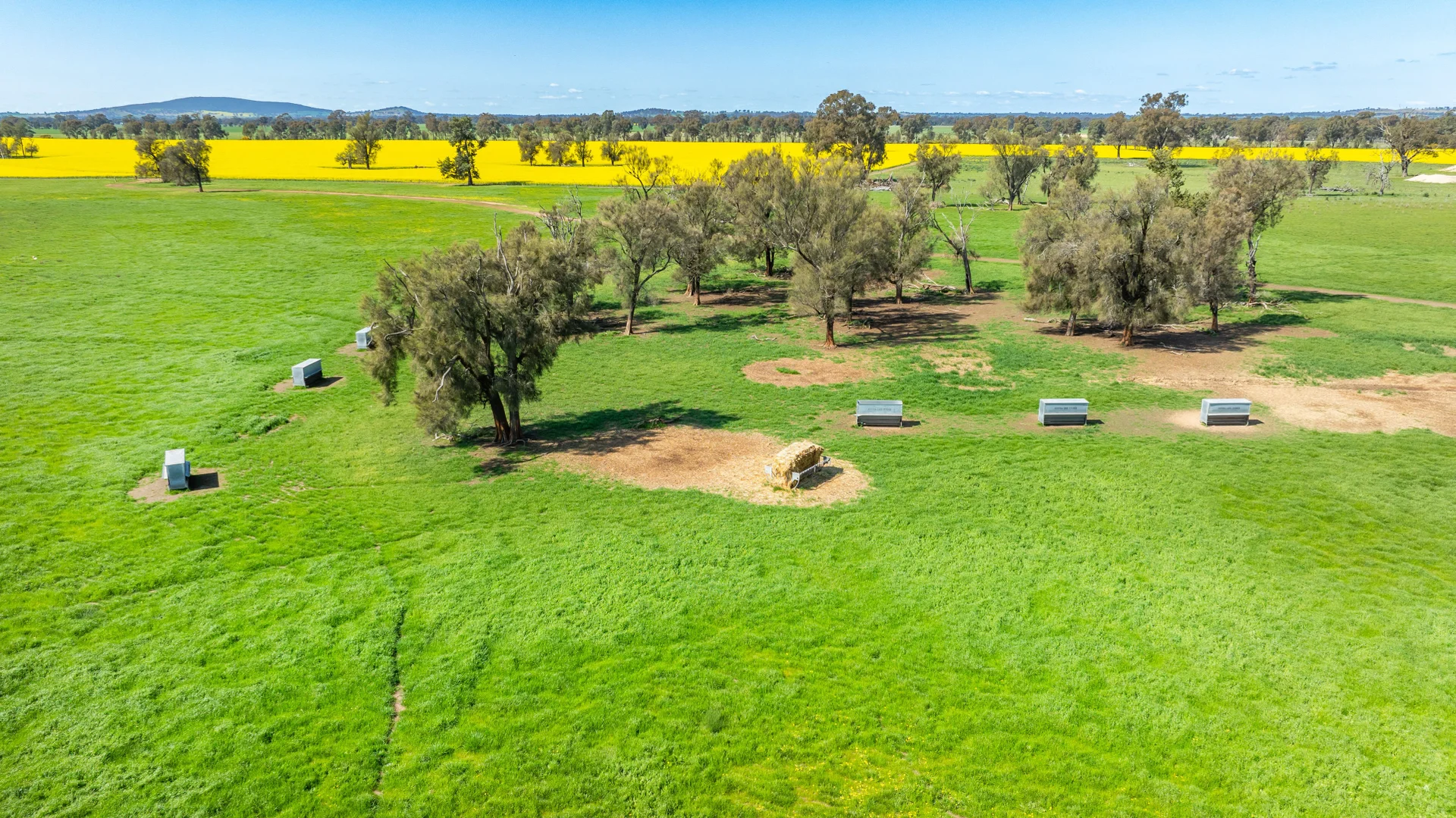 Additional image 18 of BOOROOL Mossdale Road, Balldale NSW 2646