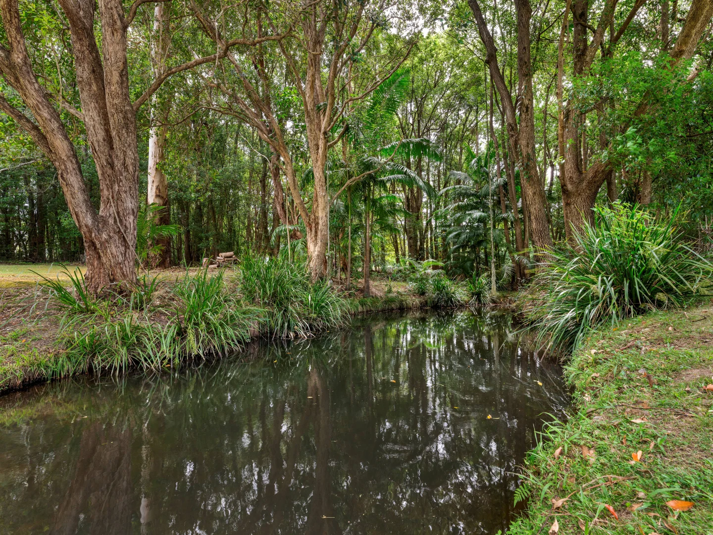 Additional image 9 of 142 North Bonville Road, Bonville NSW 2450