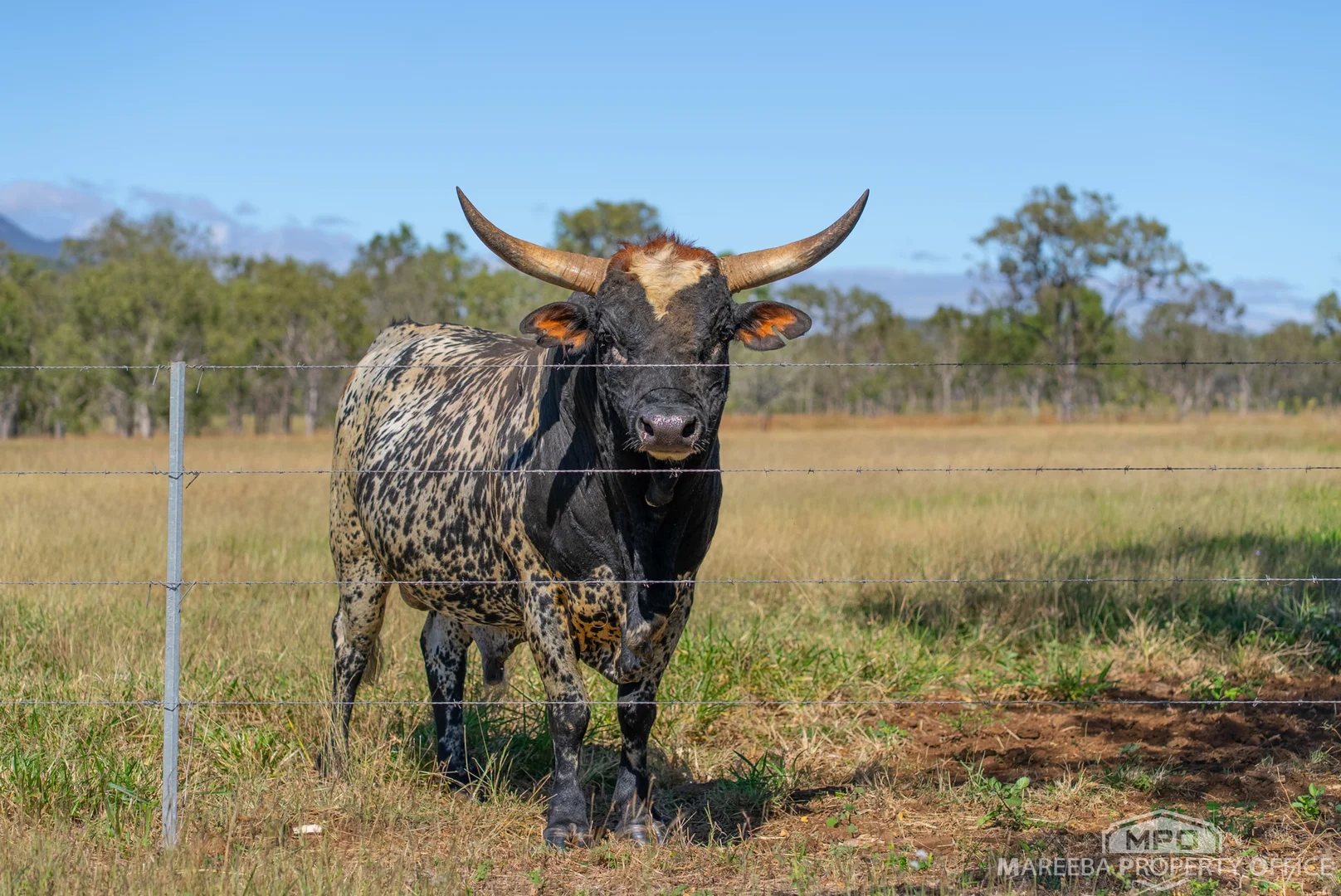 Additional image 33 of 76 Davies Creek Road, Mareeba QLD 4880
