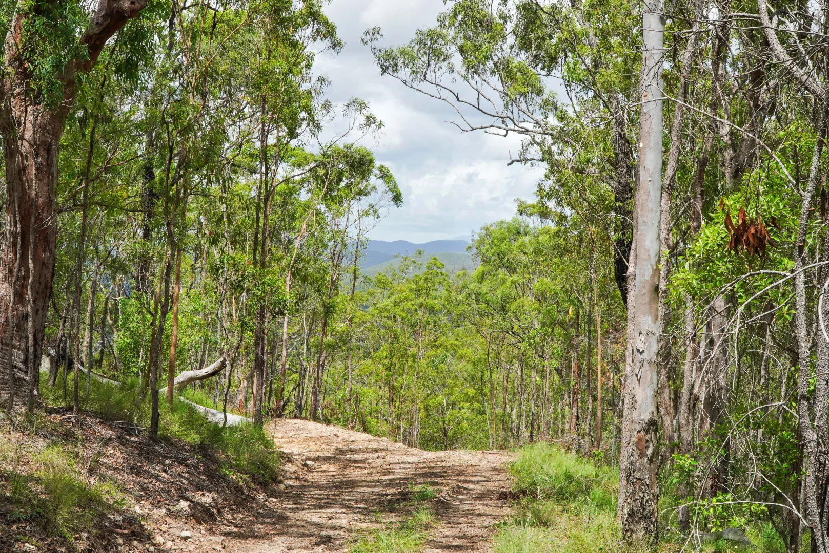 Additional image 6 of Agnes Water QLD 4677