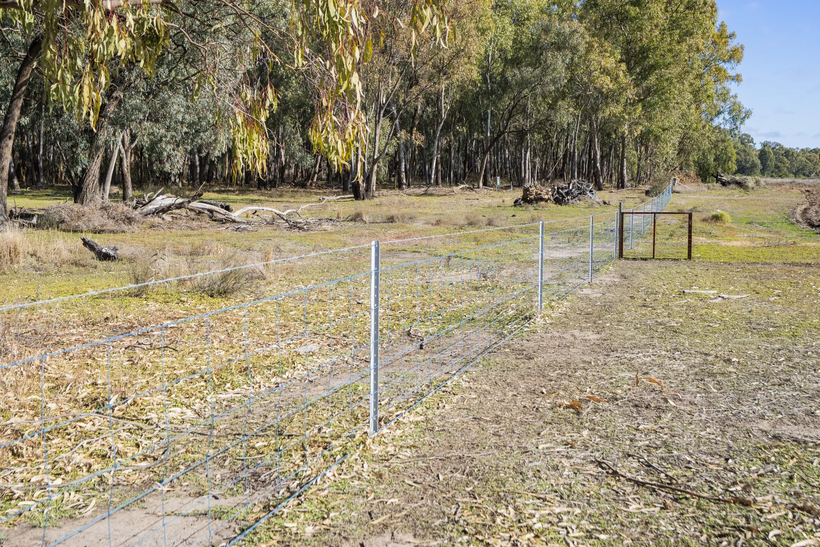 Additional image 3 of 4007 Kiacatoo Road, Condobolin NSW 2877