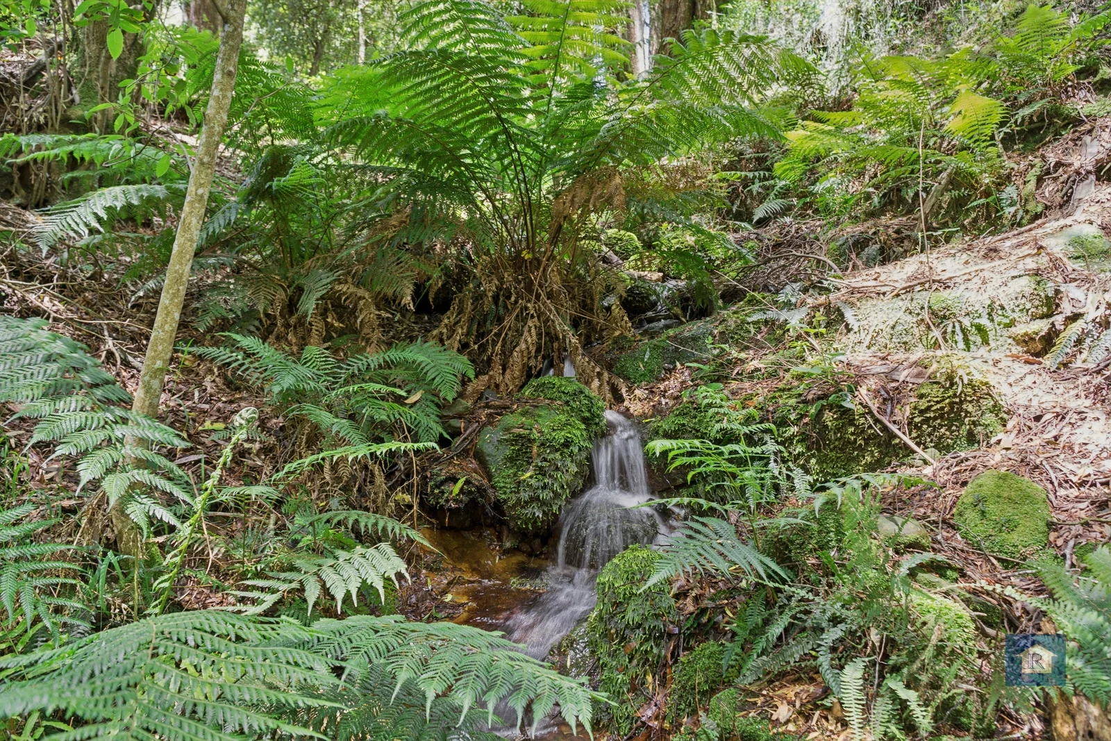 Additional image 10 of 59 Southorn Street, Beech Forest VIC 3237