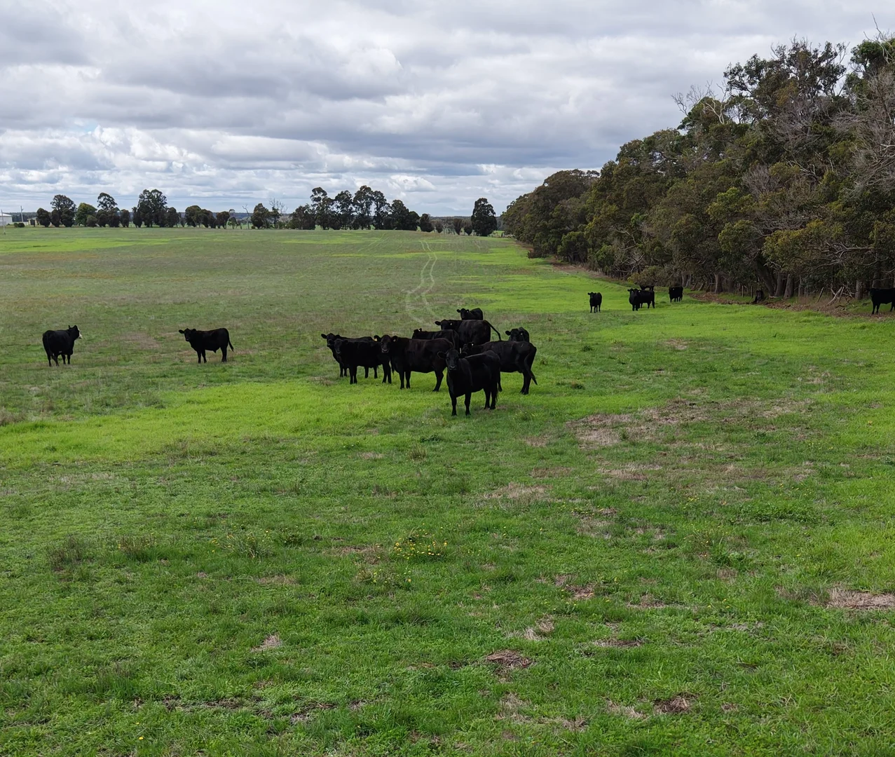 Additional image 35 of 327 Lilydale Road, Youngs Siding WA 6330
