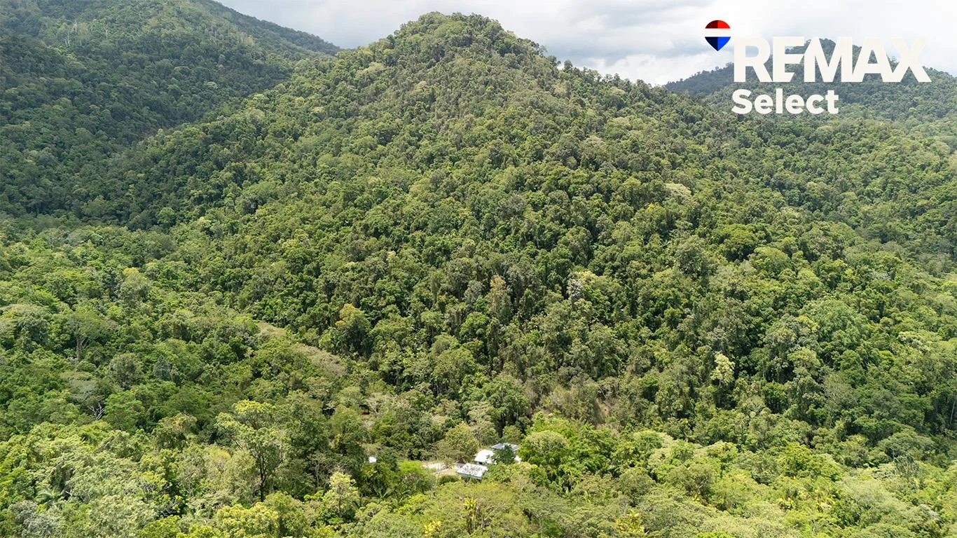 Additional image 35 of 177 Harris Road, Owens Creek QLD 4741