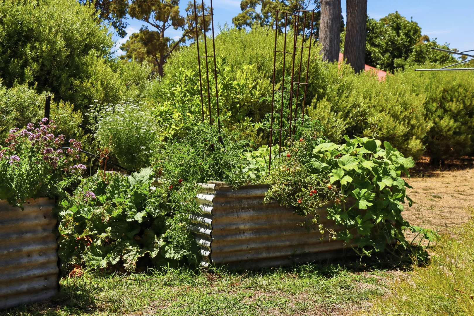 Additional image 16 of 10 Skye Lane, Bridgetown WA 6255