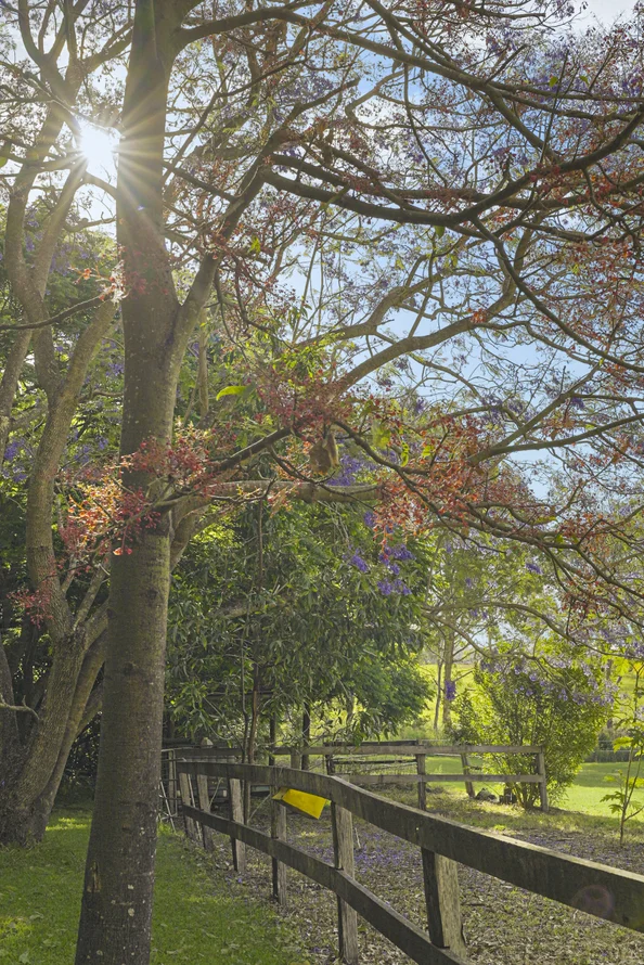 Additional image 29 of 2733 Beaudesert Nerang Road, Wonglepong QLD 4275