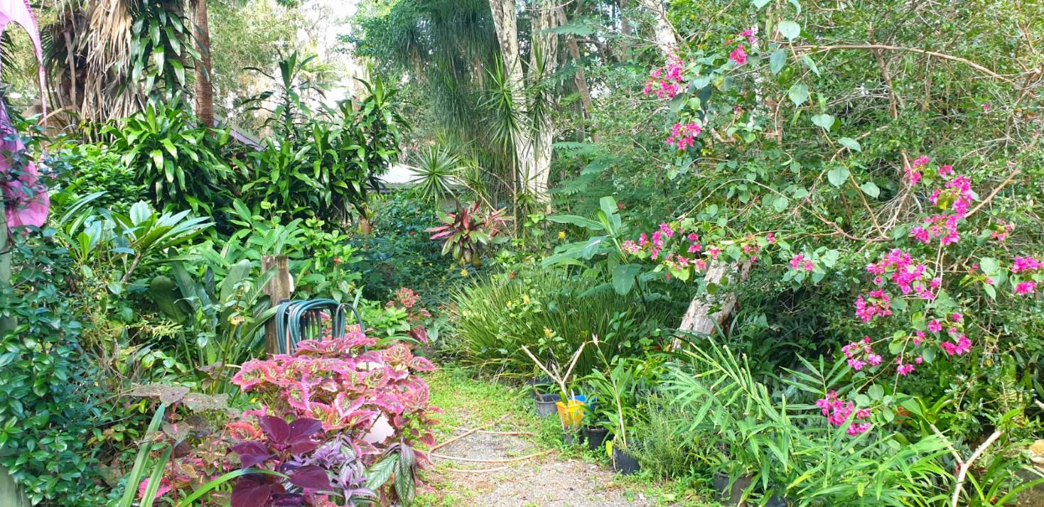 Additional image 15 of 78 Beaconsfield Road, Sandy Creek QLD 4515