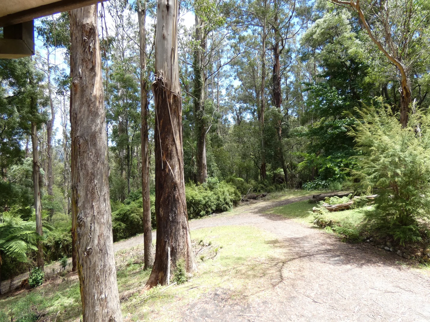 Additional image 18 of 120 Yuonga Road, Warburton VIC 3799