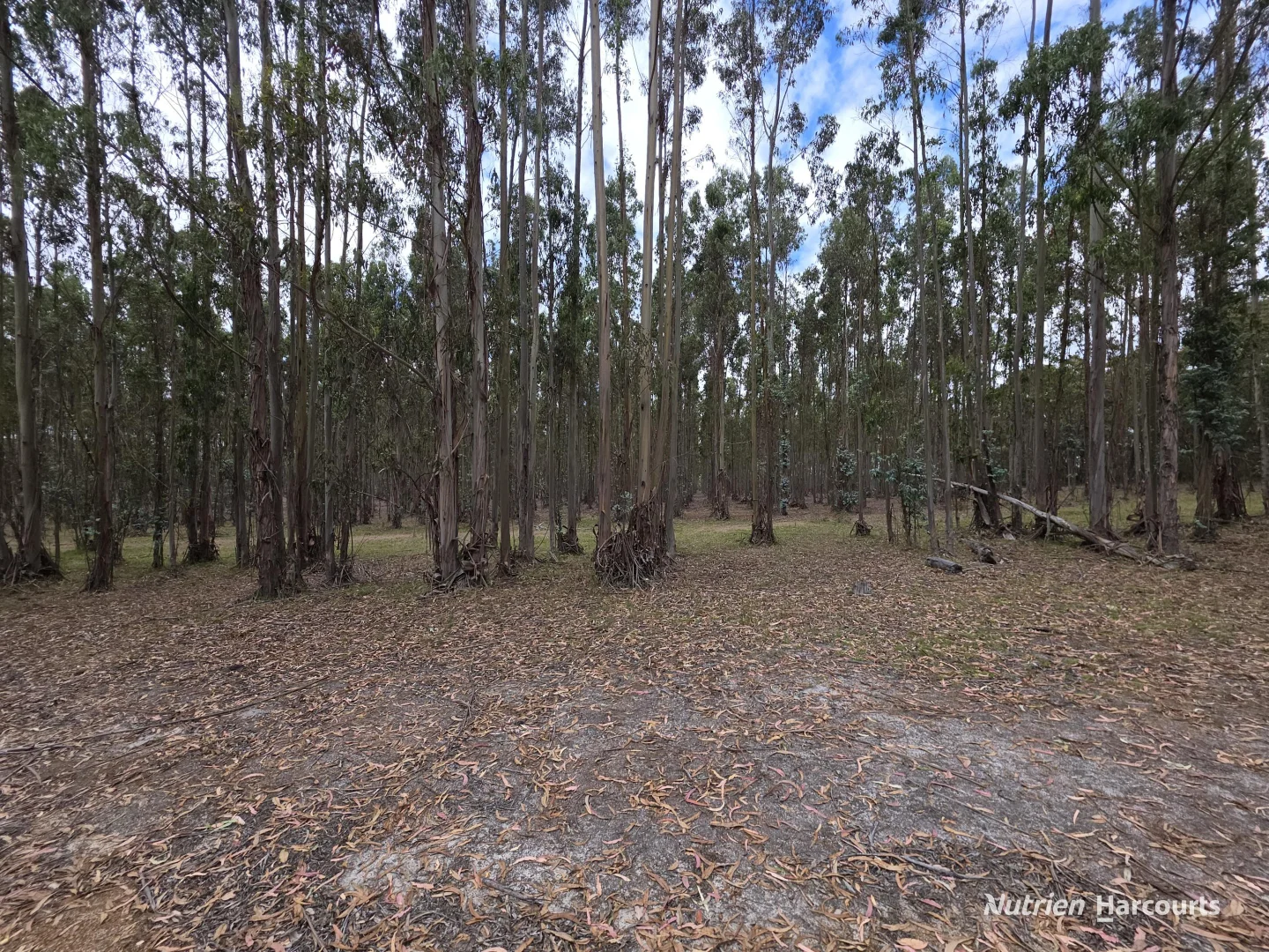 Additional image 15 of 142 Mindijup Road, Palmdale WA 6328