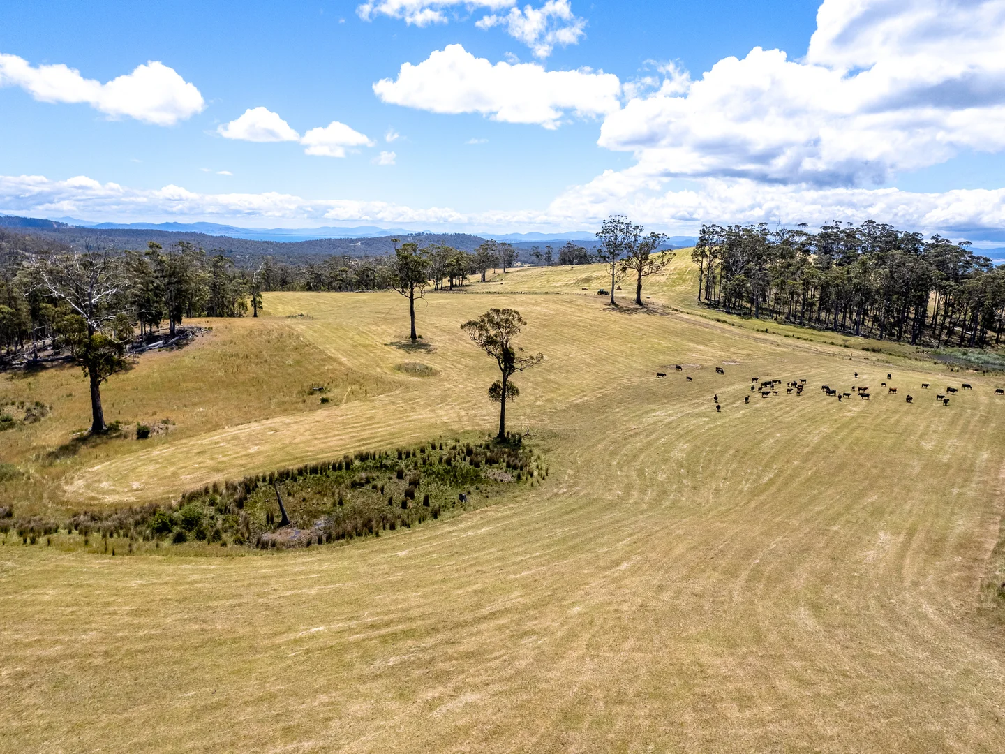 Additional image 40 of 475 Saltwater River Road, Saltwater River TAS 7186