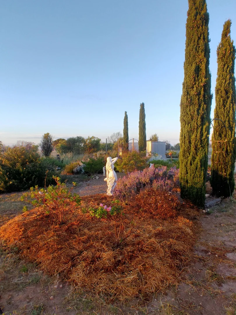 Additional image 29 of Lot 2 Thuruna Road, Tumby Bay SA 5605