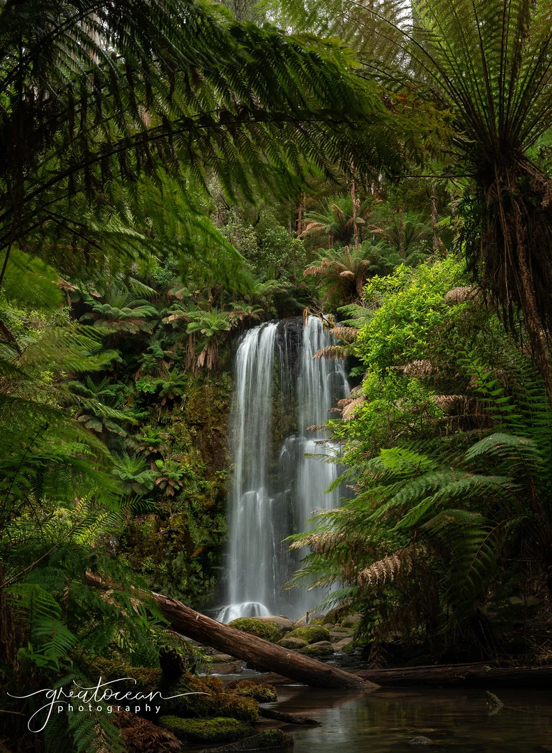Additional image 9 of 161 Great Ocean Road, Apollo Bay VIC 3233