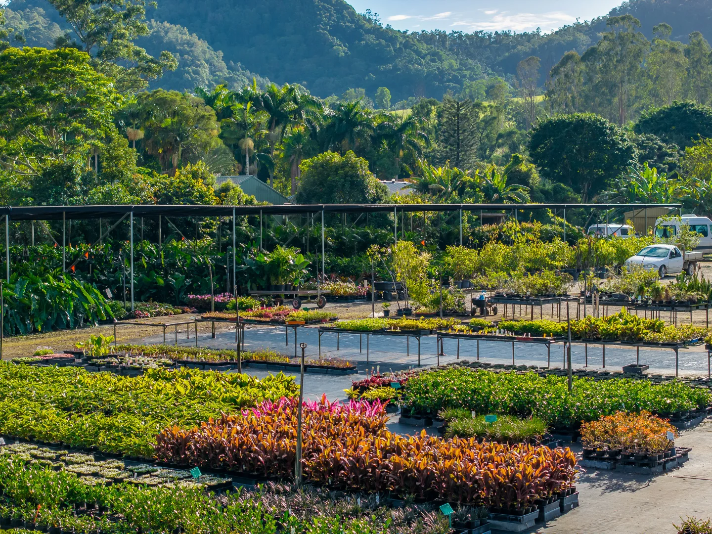 Additional image 9 of 69 Currey Road, Wongawallan QLD 4210