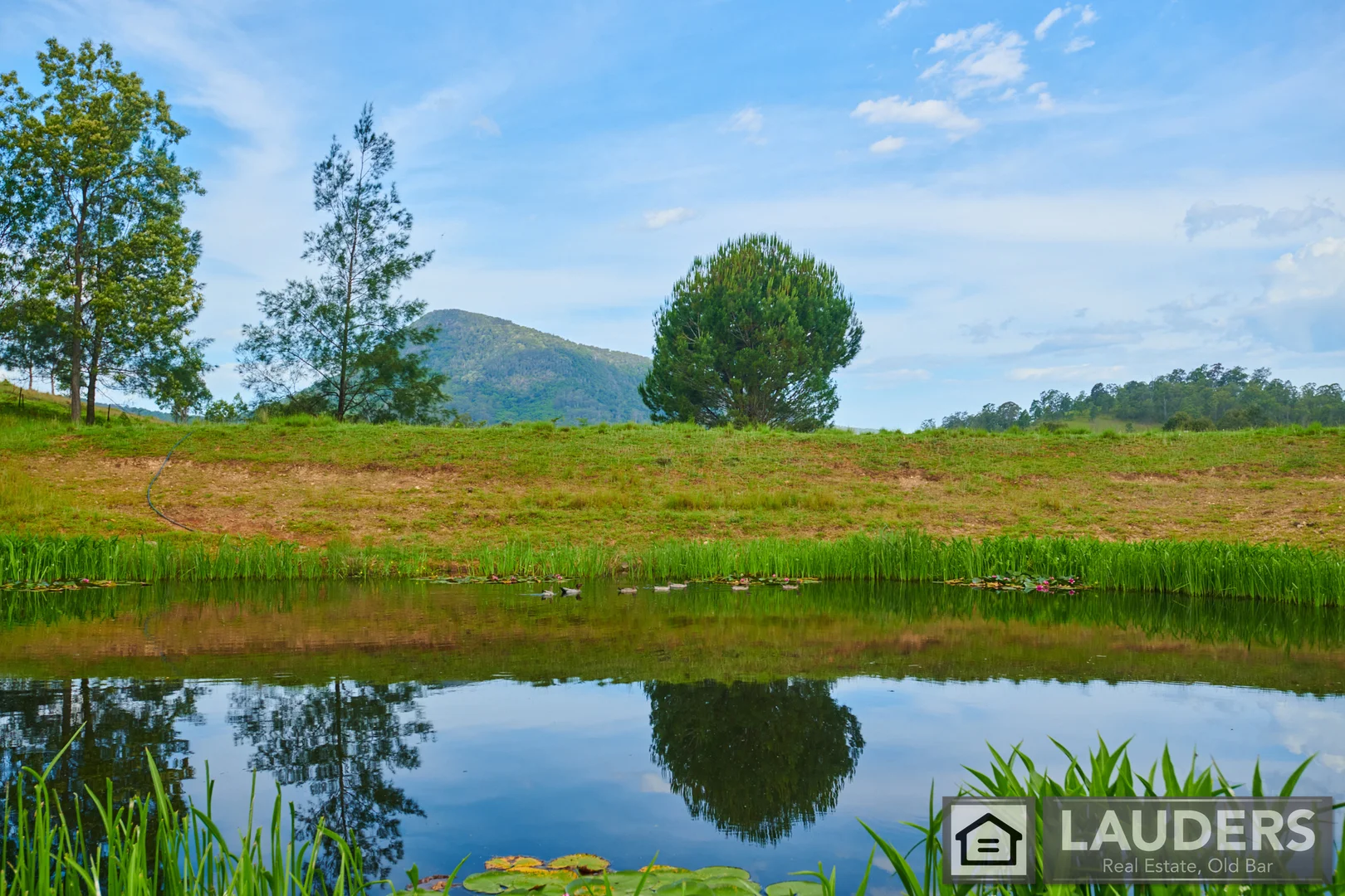 Additional image 6 of 2264 Bundook Road, Bundook NSW 2422