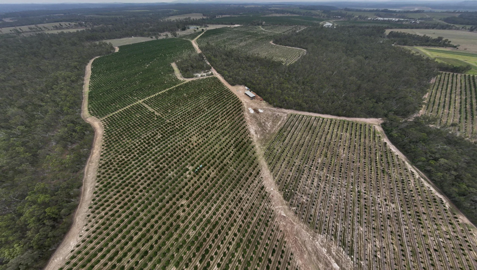 Additional image 6 of Bucca QLD 4670