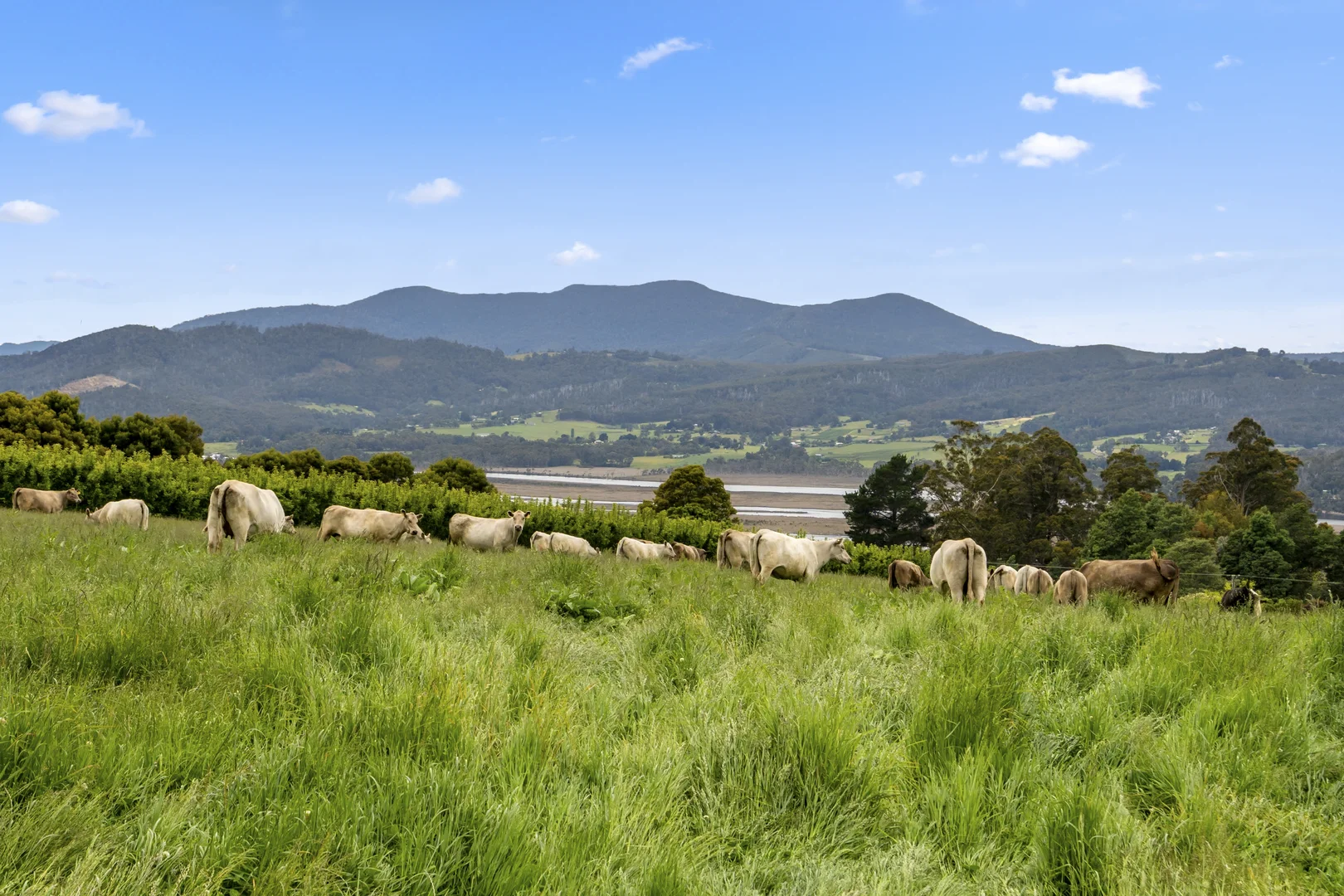 Additional image 22 of Lot  1 Flakemore Road, Franklin TAS 7113