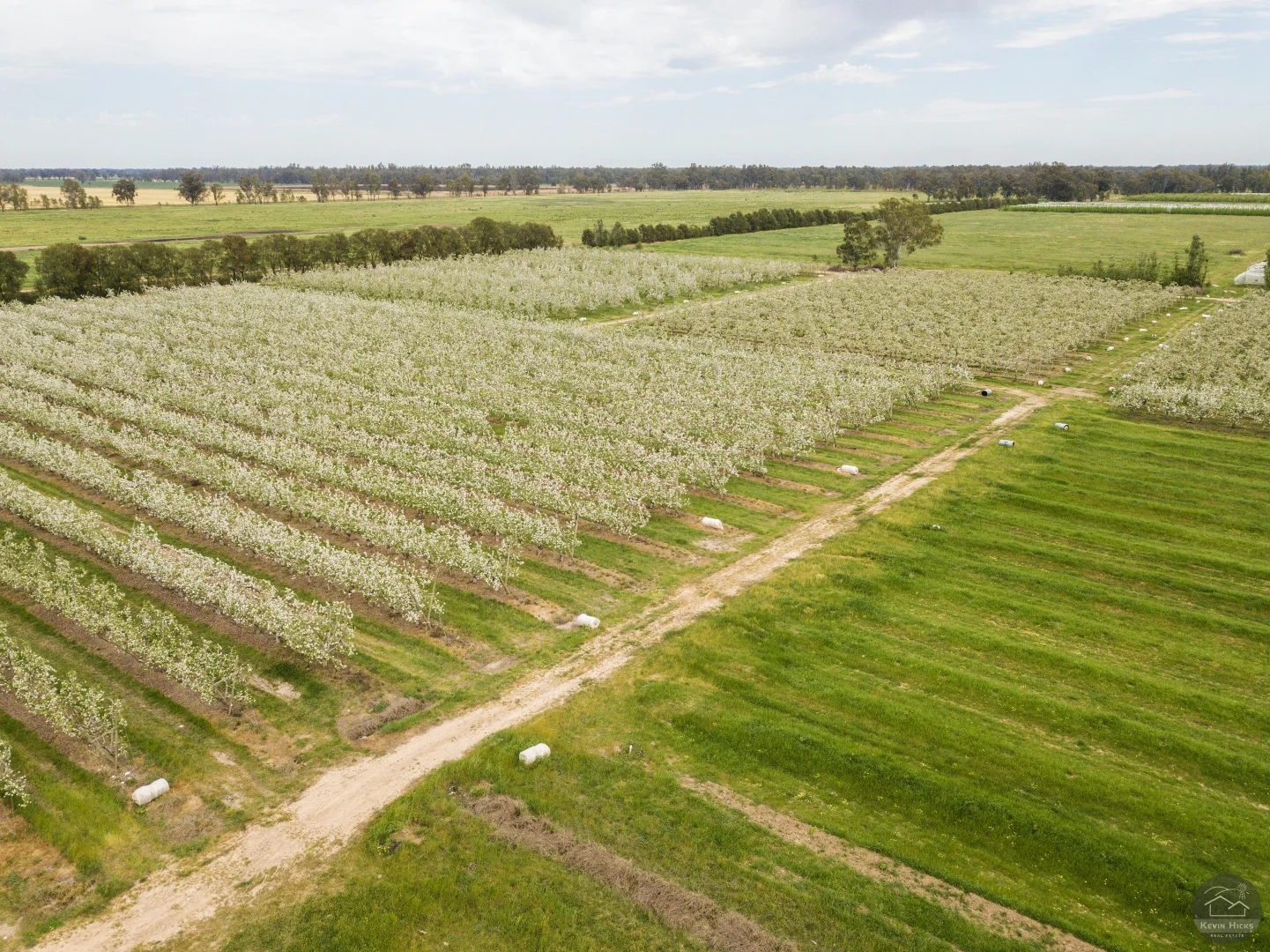 Additional image 6 of 805 Dougan Road, Coomboona VIC 3629