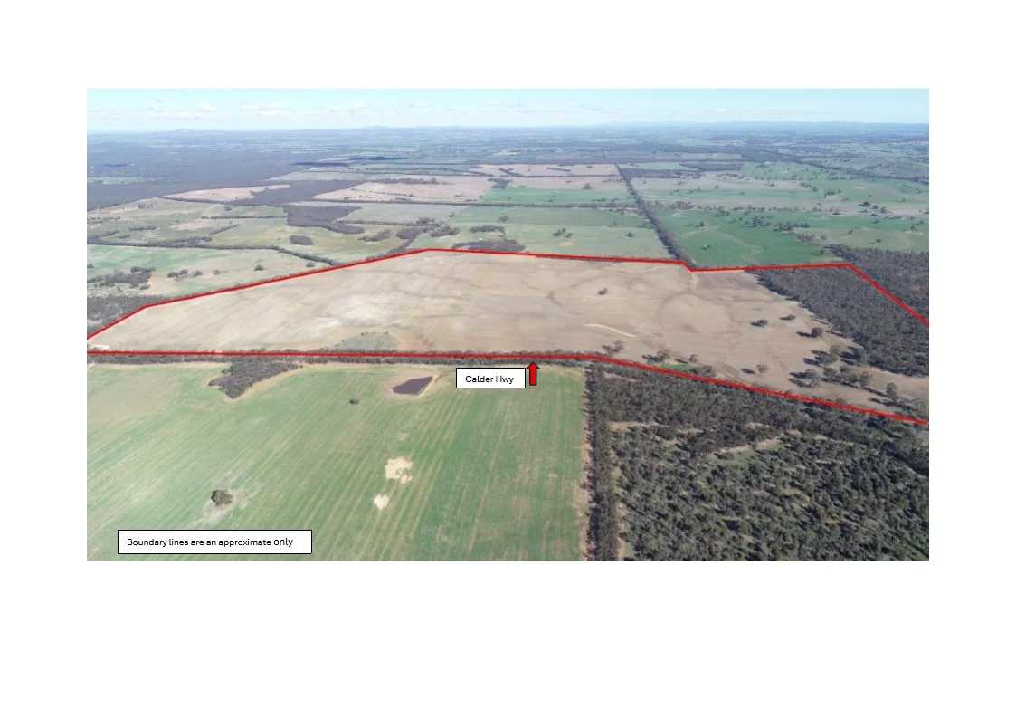 54/54 Calder Highway, Wedderburn VIC 3518