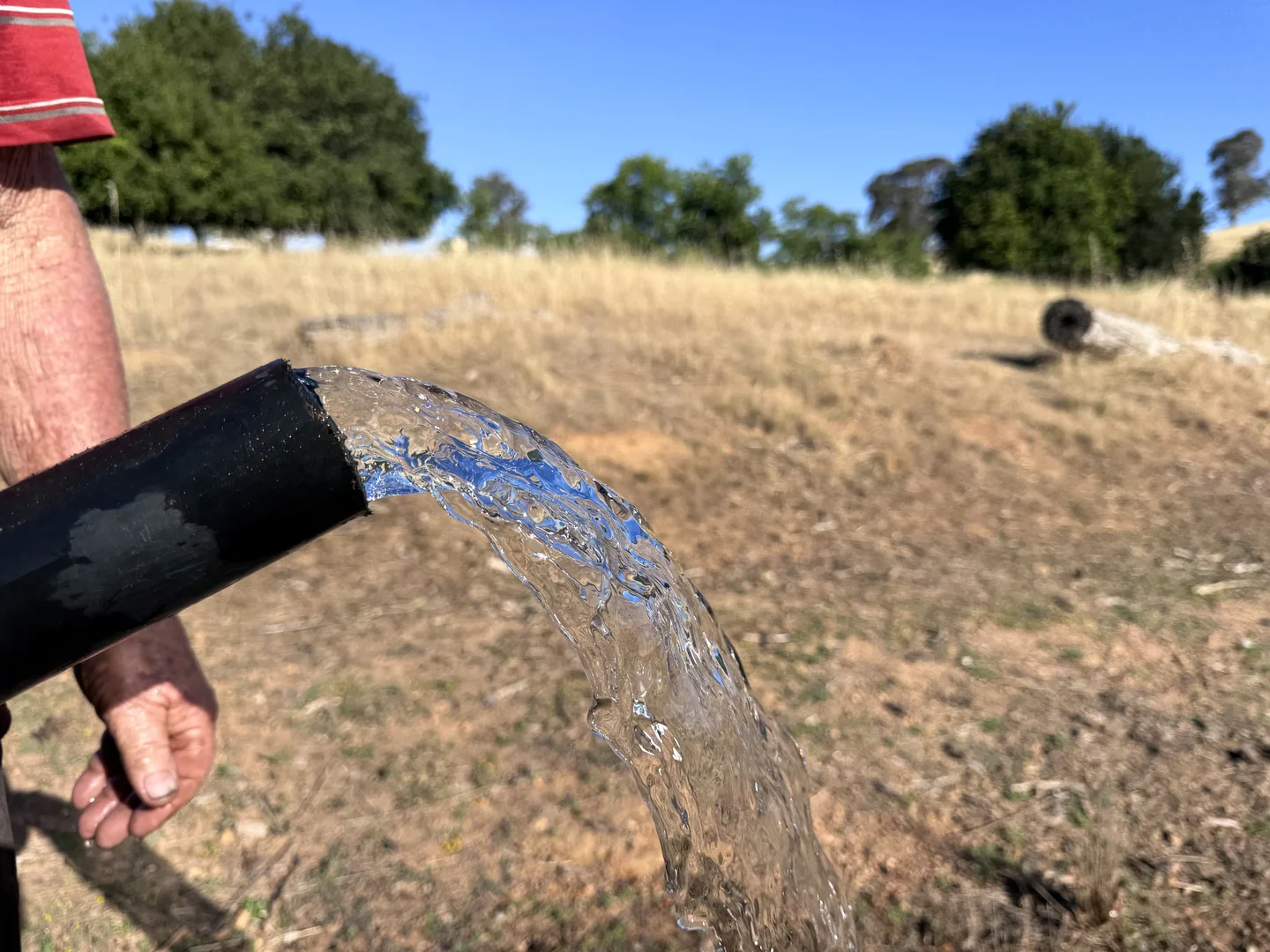 Additional image 13 of 43 Hearle Road, Mumballup WA 6225