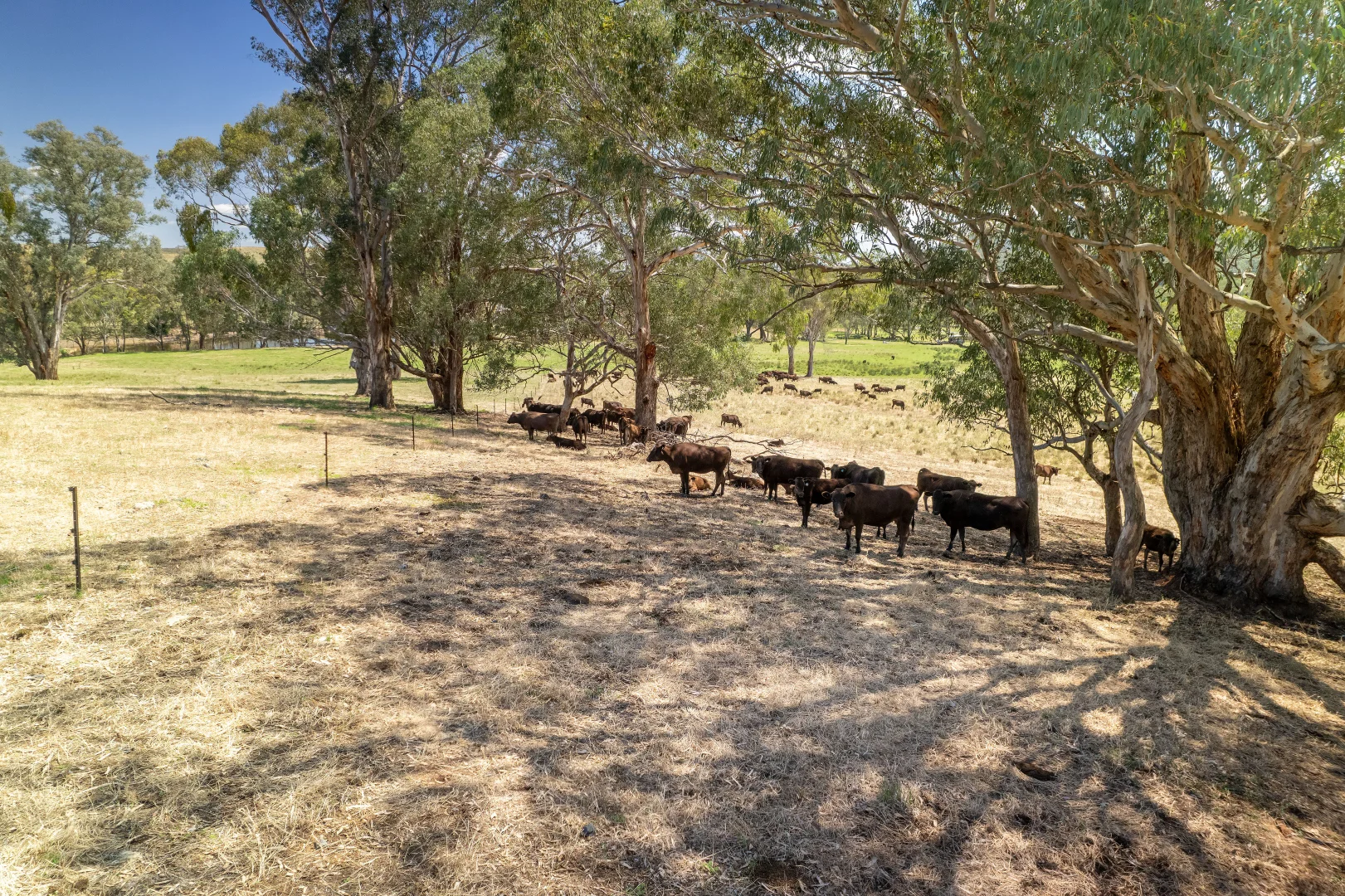 Additional image 9 of - Moyhu-Meadow Creek Road, Moyhu VIC 3732