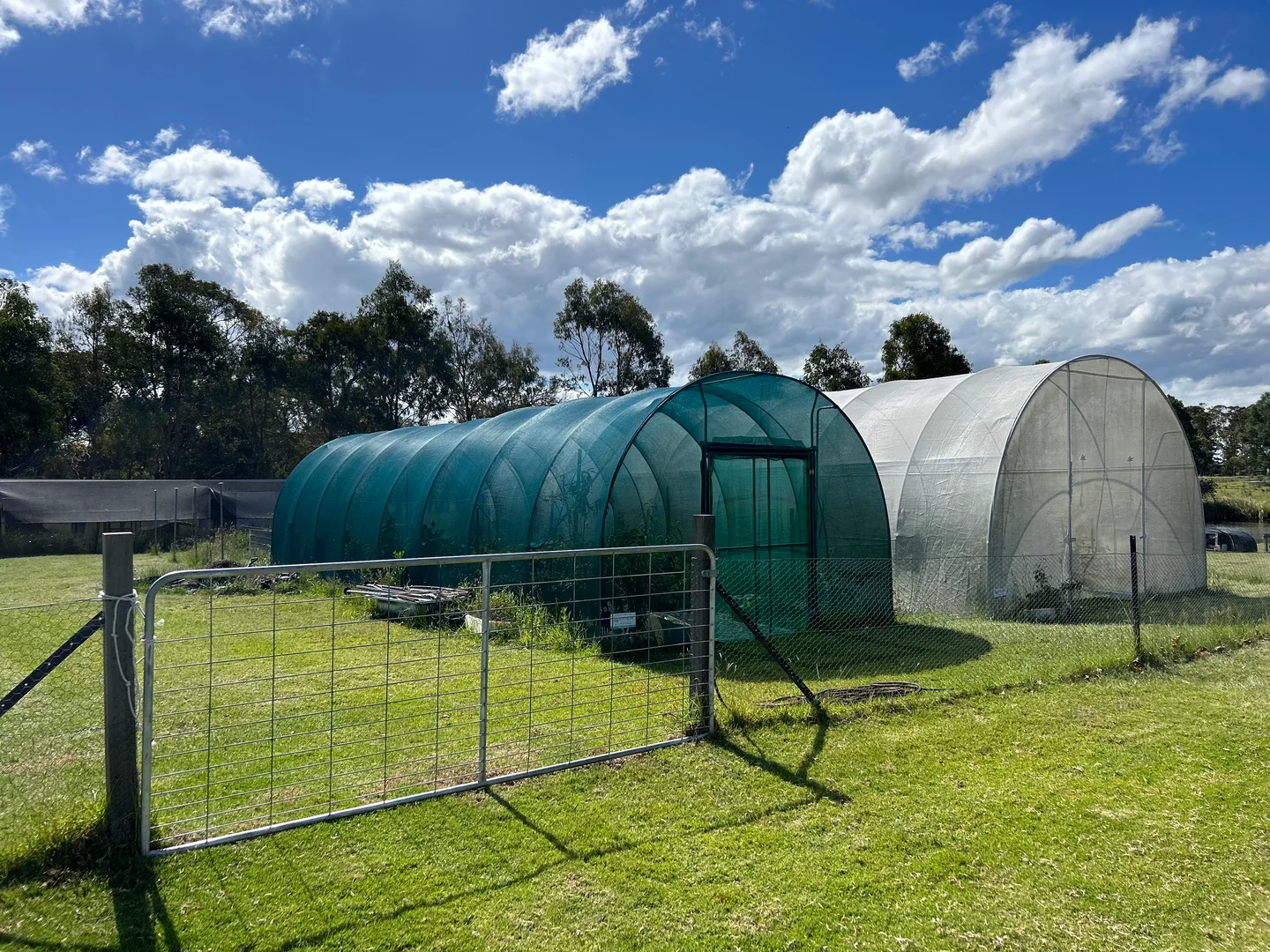 Additional image 11 of 249 Granite Belt Dve, Thulimbah QLD 4376