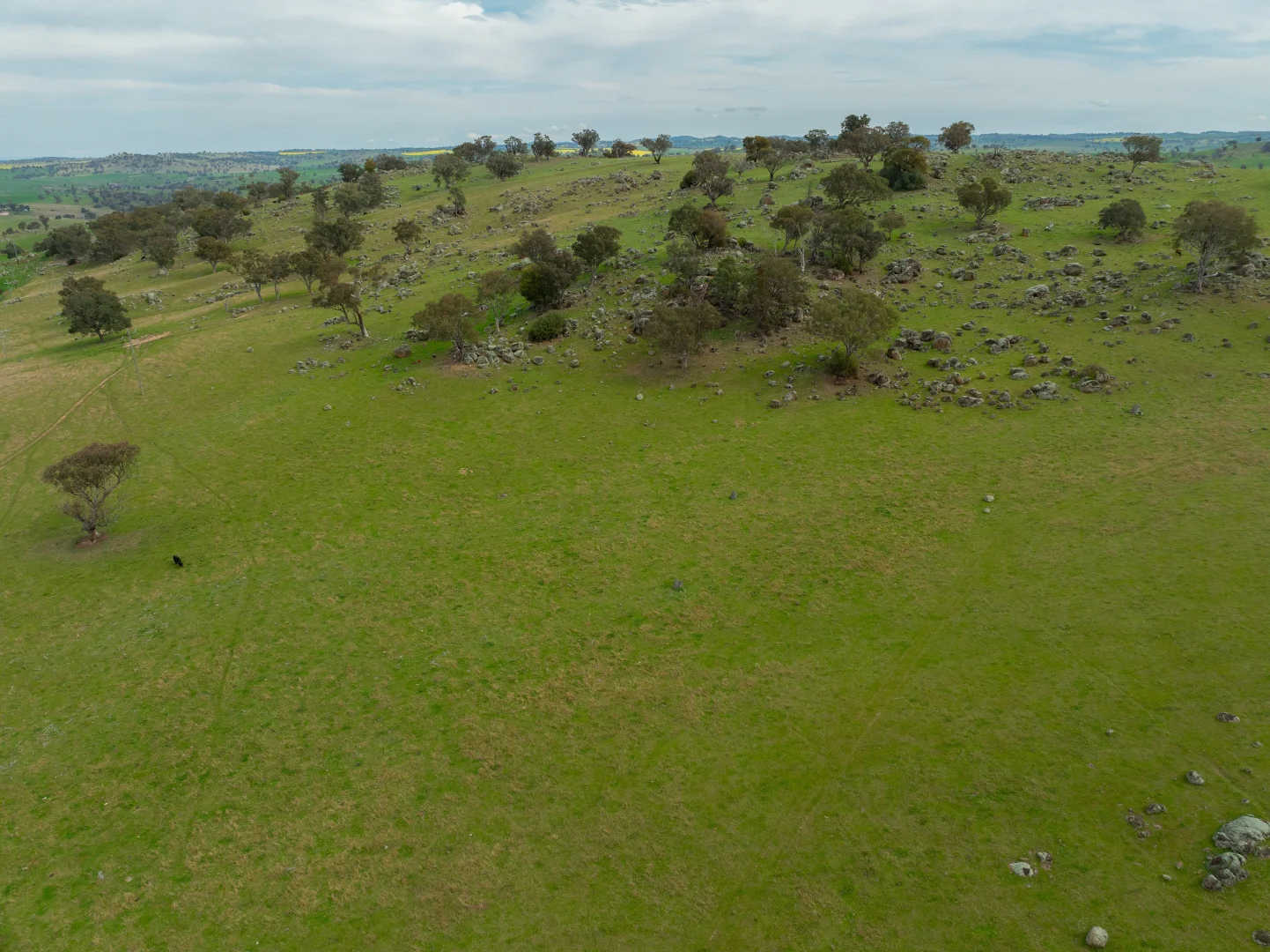 Additional image 10 of Cemetery Road, Murrumburrah NSW 2587
