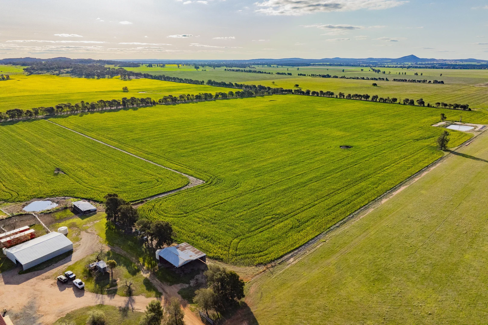 Additional image 5 of 1349 Trungley Hall Road, Temora NSW 2666