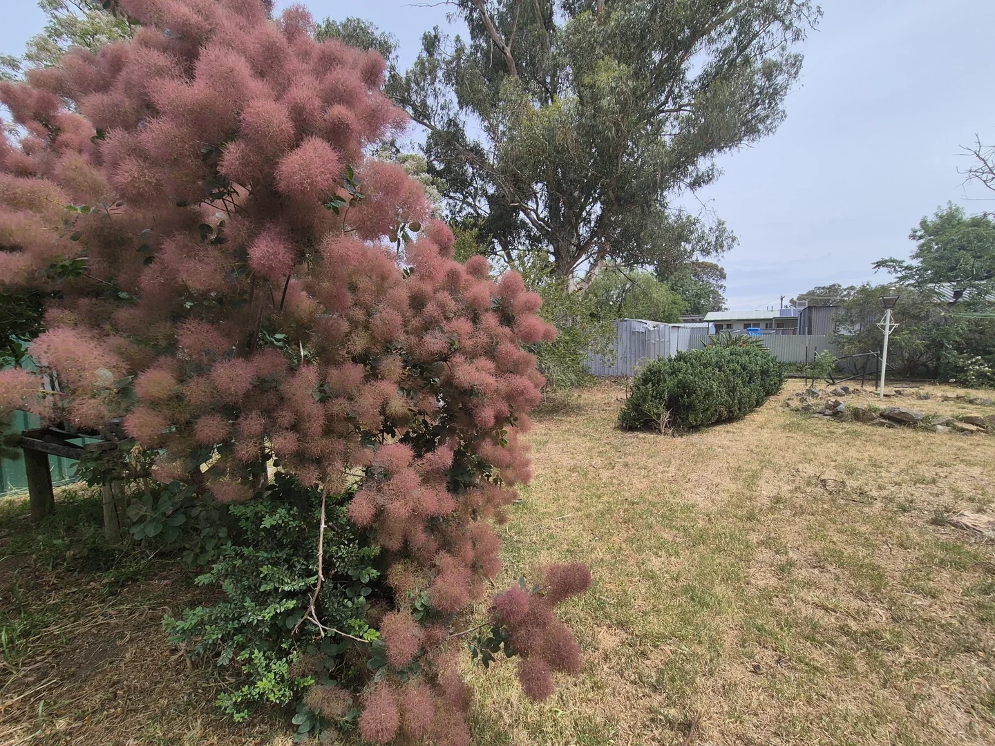 Additional image 3 of 35 Sutherland Street, Euroa VIC 3666