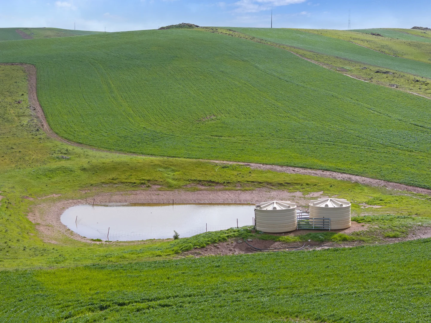 Additional image 5 of 'Hamilton Run Farm' Murchland Drive, Jamestown SA 5491