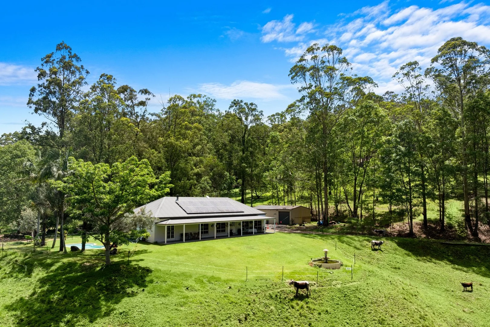 737 Smiths Creek Road, Smiths Creek, Kyogle NSW 2474