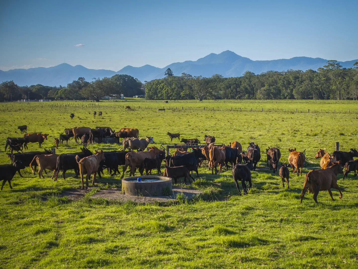 Additional image 4 of 33 River Street, Repton NSW 2454