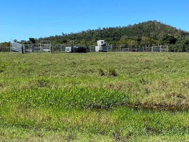 Additional image 10 of Mount Ossa QLD 4741