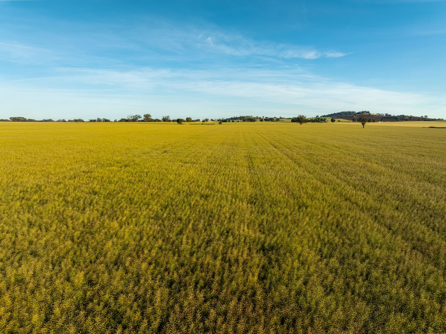 Additional image 5 of 158 Bethel Road, Burrumbuttock NSW 2642